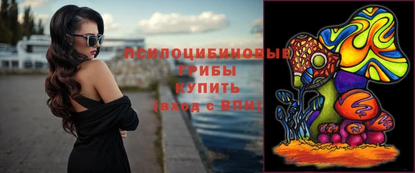ПСИЛОЦИБИНОВЫЕ ГРИБЫ Инсар