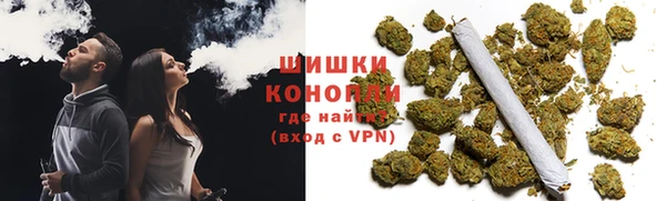 ПСИЛОЦИБИНОВЫЕ ГРИБЫ Инсар