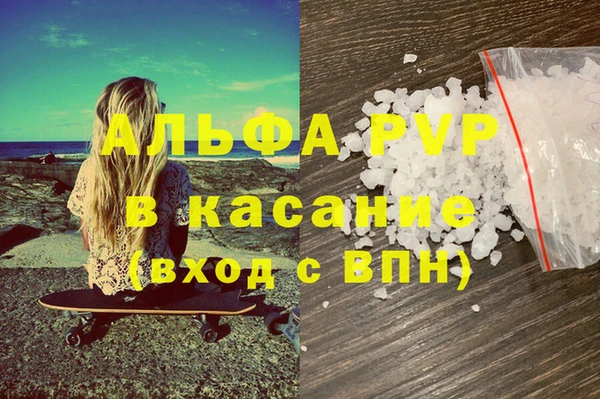 ПСИЛОЦИБИНОВЫЕ ГРИБЫ Инсар