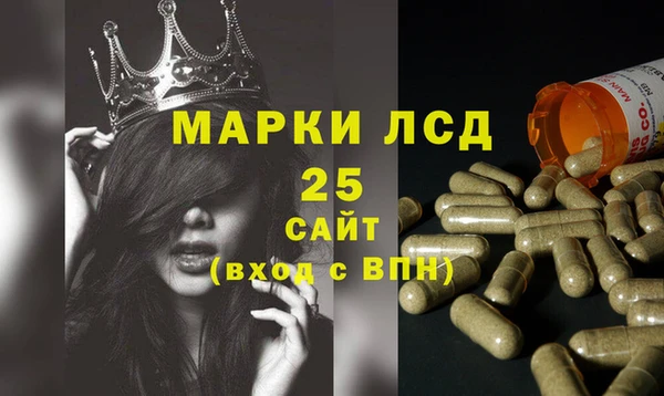 ПСИЛОЦИБИНОВЫЕ ГРИБЫ Инсар