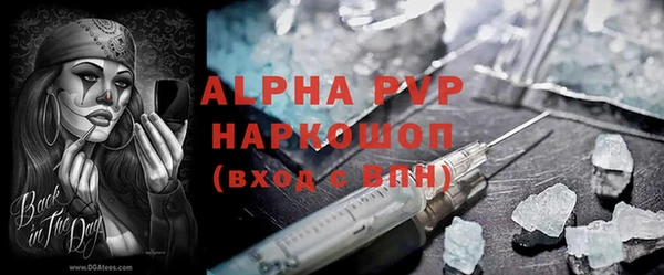 ПСИЛОЦИБИНОВЫЕ ГРИБЫ Инсар