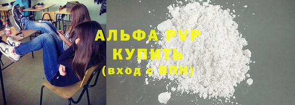 ПСИЛОЦИБИНОВЫЕ ГРИБЫ Инсар