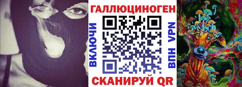 Купить  Кингисепп  Псилоцибиновые грибы прущие грибы 
