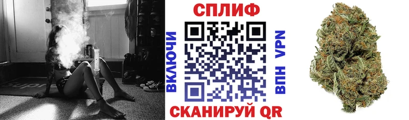 Купить  Кингисепп  Шишки марихуана сатива 
